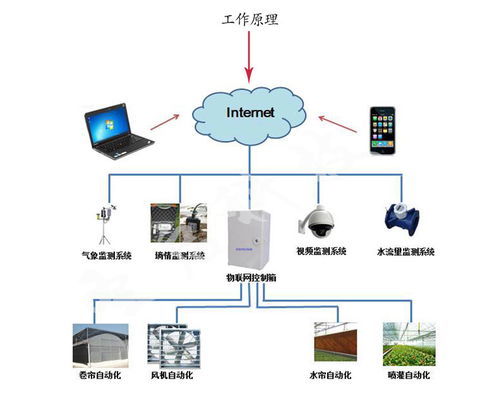 圣启农业物联网技术,引领温室农业发展